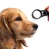 WADPP Handheld Slit Lamp 5X Portable Ophthalmoscope for Veterinary Use-5